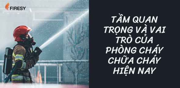 Vai Trò Quan Trọng của Lực Lượng Phòng Cháy Chữa Cháy (PCCC) Trong Việc Bảo Vệ An Toàn Cộng Đồng